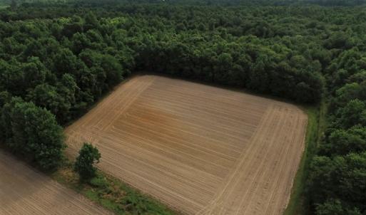 Photo of UNDER CONTRACT!  53.5 Acres of Farm and Timber Land with Building For Sale In Wayne County NC!