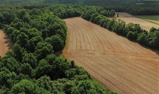 Photo of UNDER CONTRACT!  53.5 Acres of Farm and Timber Land with Building For Sale In Wayne County NC!