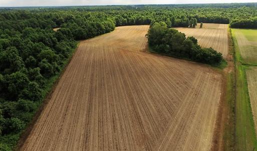 Photo of UNDER CONTRACT!  53.5 Acres of Farm and Timber Land with Building For Sale In Wayne County NC!