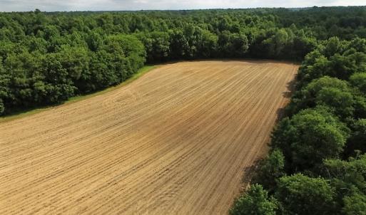 Photo of UNDER CONTRACT!  53.5 Acres of Farm and Timber Land with Building For Sale In Wayne County NC!
