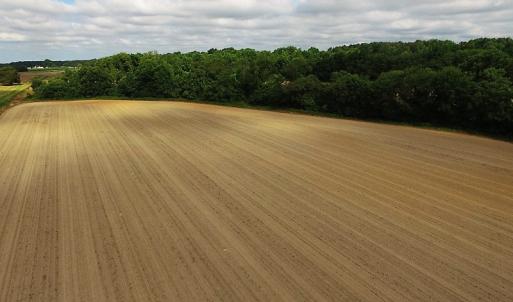 Photo of UNDER CONTRACT!  53.5 Acres of Farm and Timber Land with Building For Sale In Wayne County NC!