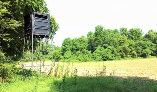 Photo of UNDER CONTRACT!  53.5 Acres of Farm and Timber Land with Building For Sale In Wayne County NC!