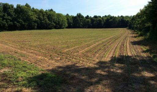 Photo of UNDER CONTRACT!  53.5 Acres of Farm and Timber Land with Building For Sale In Wayne County NC!