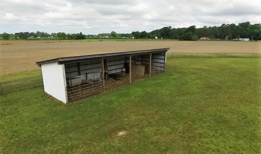 Photo of UNDER CONTRACT!  53.5 Acres of Farm and Timber Land with Building For Sale In Wayne County NC!