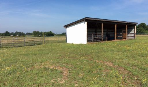 Photo of UNDER CONTRACT!  53.5 Acres of Farm and Timber Land with Building For Sale In Wayne County NC!