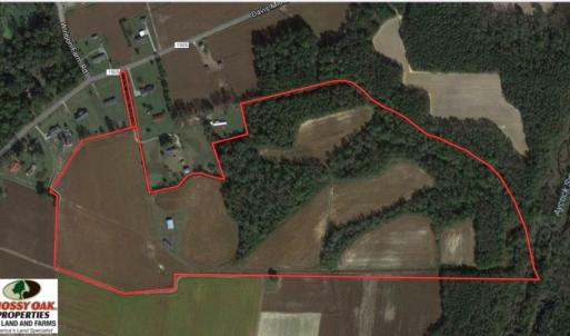 Photo of UNDER CONTRACT!  53.5 Acres of Farm and Timber Land with Building For Sale In Wayne County NC!