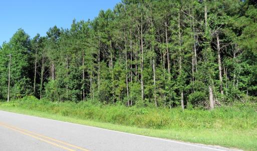 Photo of SOLD!  14 Acres of Hunting Land for Sale in Columbus County NC!