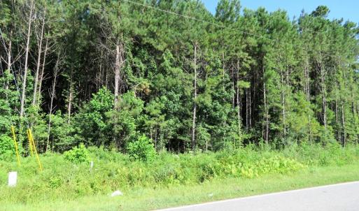 Photo of SOLD!  14 Acres of Hunting Land for Sale in Columbus County NC!