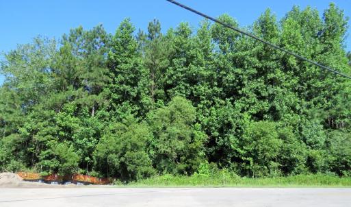 Photo of SOLD!  14 Acres of Hunting Land for Sale in Columbus County NC!