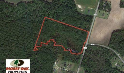 Photo of SOLD!  14 Acres of Hunting Land for Sale in Columbus County NC!