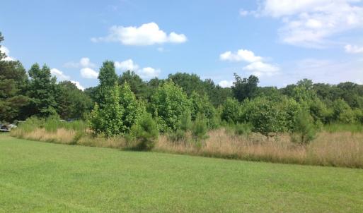 Photo of SOLD!  2.6 Acres of Hunting Land and Home Site For Sale in Suffolk VA!
