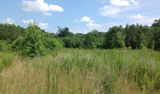 Photo of SOLD!  2.6 Acres of Hunting Land and Home Site For Sale in Suffolk VA!