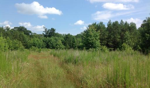Photo of SOLD!  2.6 Acres of Hunting Land and Home Site For Sale in Suffolk VA!