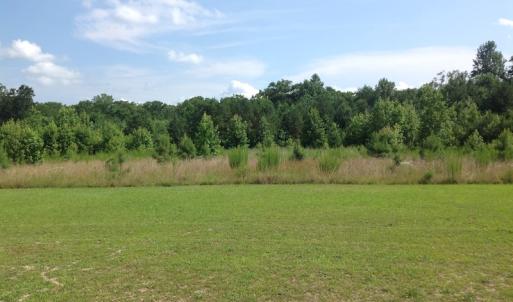 Photo of SOLD!  2.3 Acres of Hunting Land for Sale in Suffolk VA!