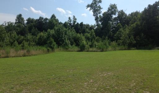 Photo of SOLD!  2.3 Acres of Hunting Land for Sale in Suffolk VA!