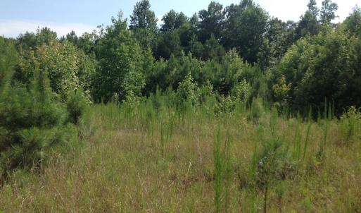 Photo of SOLD!  2.3 Acres of Hunting Land for Sale in Suffolk VA!