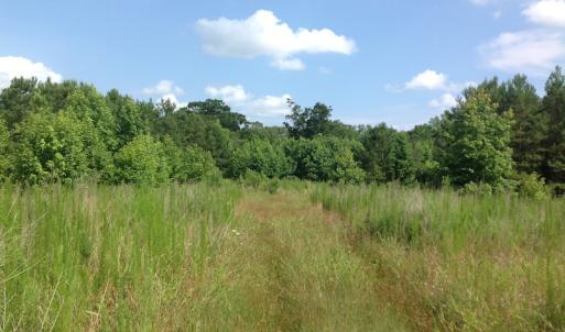 Photo of SOLD!  2.3 Acres of Hunting Land for Sale in Suffolk VA!