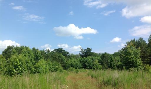 Photo of SOLD!  2.3 Acres of Hunting Land for Sale in Suffolk VA!