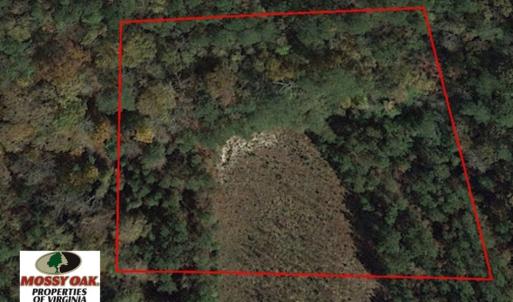Photo of SOLD!  2.3 Acres of Hunting Land for Sale in Suffolk VA!