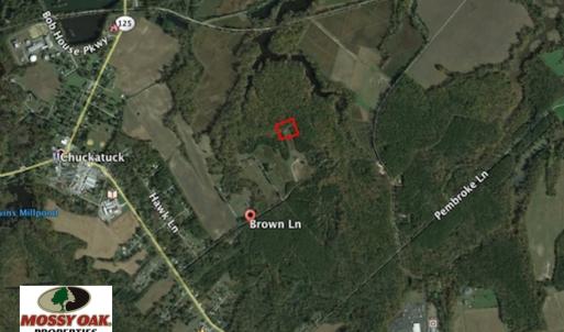 Photo of SOLD!  2.3 Acres of Hunting Land for Sale in Suffolk VA!