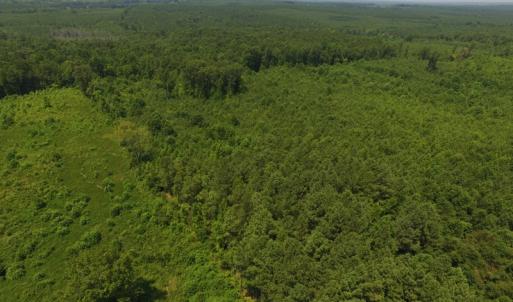 Photo of SOLD!  10 Acres of Land For Sale In Warren County NC!