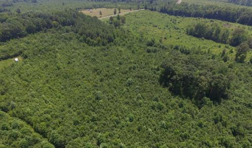Photo of SOLD!  10 Acres of Land For Sale In Warren County NC!