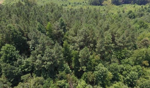 Photo of SOLD!  10 Acres of Land For Sale In Warren County NC!