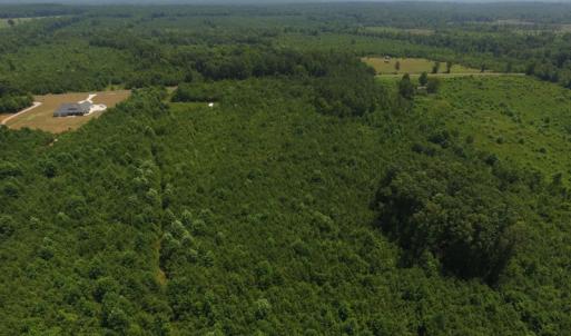 Photo of SOLD!  10 Acres of Land For Sale In Warren County NC!