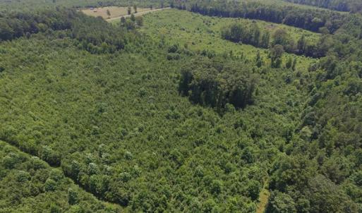 Photo of SOLD!  10 Acres of Land For Sale In Warren County NC!