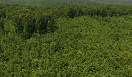 Photo of SOLD!  10 Acres of Land For Sale In Warren County NC!