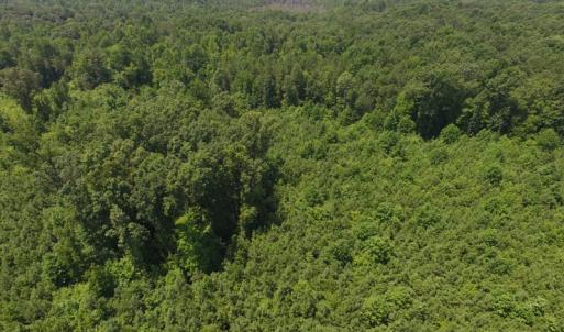 Photo of SOLD!  10 Acres of Land For Sale In Warren County NC!