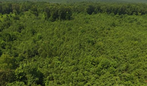 Photo of SOLD!  10 Acres of Land For Sale In Warren County NC!