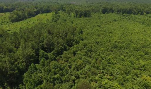 Photo of SOLD!  10 Acres of Land For Sale In Warren County NC!