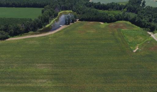 Photo of SOLD!  26.83 Acres of Farm Land With Pond For Sale In Edgecombe County NC!