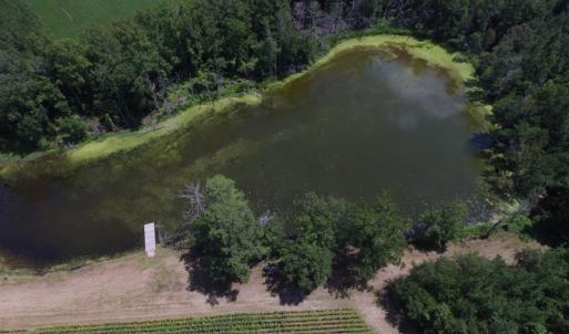 Photo of SOLD!  26.83 Acres of Farm Land With Pond For Sale In Edgecombe County NC!