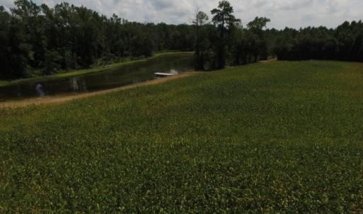 Photo of SOLD!  26.83 Acres of Farm Land With Pond For Sale In Edgecombe County NC!