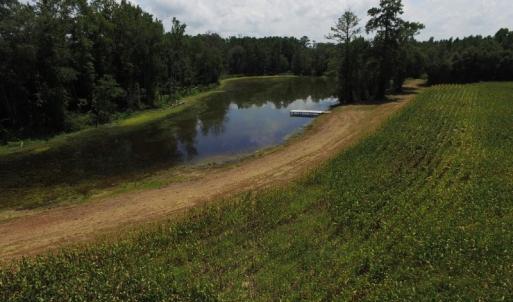 Photo of SOLD!  26.83 Acres of Farm Land With Pond For Sale In Edgecombe County NC!