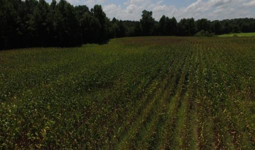 Photo of SOLD!  26.83 Acres of Farm Land With Pond For Sale In Edgecombe County NC!