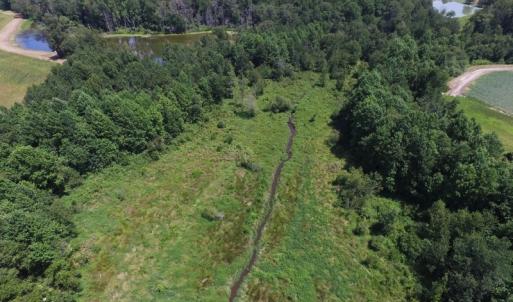Photo of SOLD!  26.83 Acres of Farm Land With Pond For Sale In Edgecombe County NC!