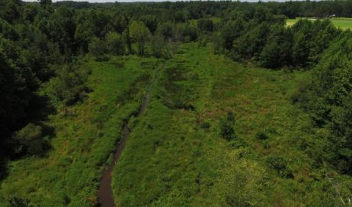 Photo of SOLD!  26.83 Acres of Farm Land With Pond For Sale In Edgecombe County NC!