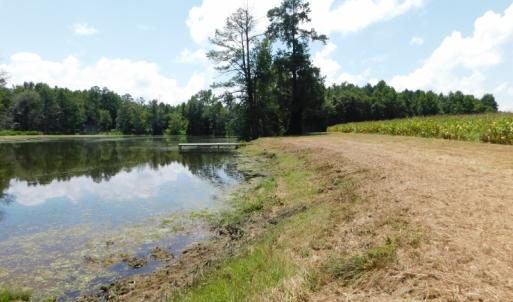 Photo of SOLD!  26.83 Acres of Farm Land With Pond For Sale In Edgecombe County NC!