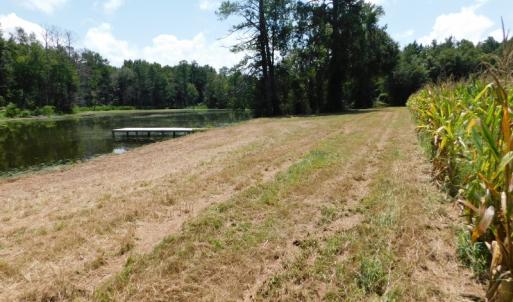 Photo of SOLD!  26.83 Acres of Farm Land With Pond For Sale In Edgecombe County NC!