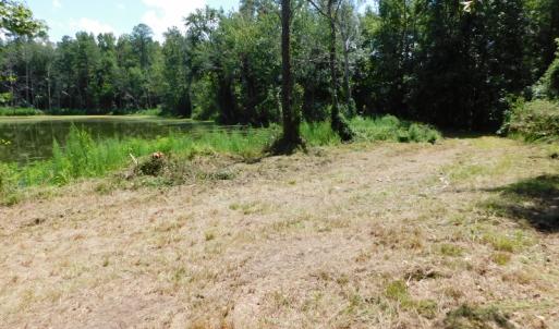 Photo of SOLD!  26.83 Acres of Farm Land With Pond For Sale In Edgecombe County NC!