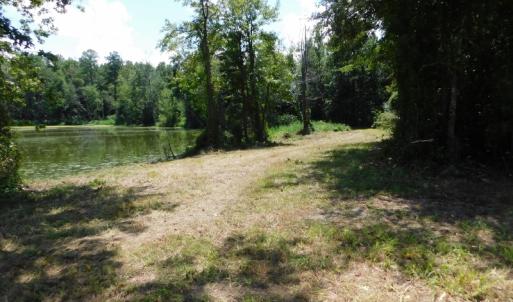 Photo of SOLD!  26.83 Acres of Farm Land With Pond For Sale In Edgecombe County NC!