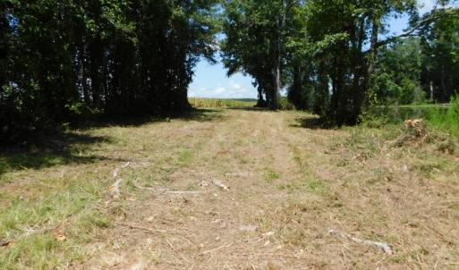 Photo of SOLD!  26.83 Acres of Farm Land With Pond For Sale In Edgecombe County NC!
