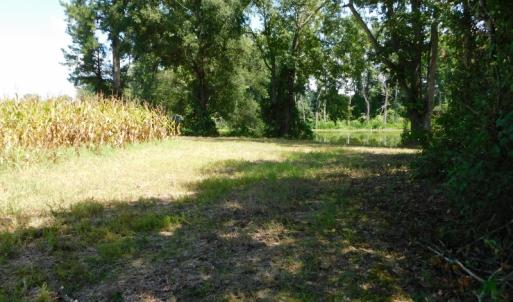 Photo of SOLD!  26.83 Acres of Farm Land With Pond For Sale In Edgecombe County NC!