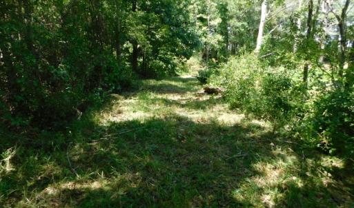 Photo of SOLD!  26.83 Acres of Farm Land With Pond For Sale In Edgecombe County NC!