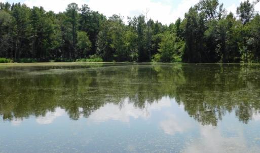 Photo of SOLD!  26.83 Acres of Farm Land With Pond For Sale In Edgecombe County NC!