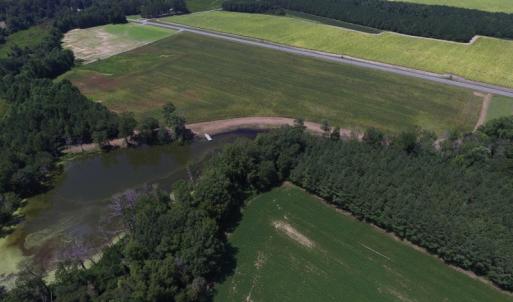 Photo of SOLD!  26.83 Acres of Farm Land With Pond For Sale In Edgecombe County NC!