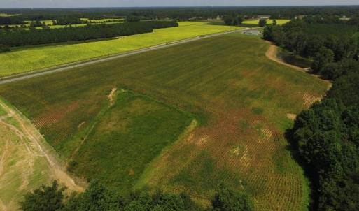Photo of SOLD!  26.83 Acres of Farm Land With Pond For Sale In Edgecombe County NC!